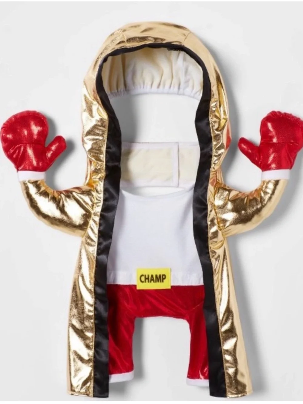 Boots & Barkley 🥊 boxing